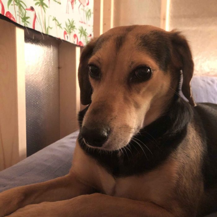 1_64696966864__464B698D-E710-4680-8FE0-0E89AA6324E6-scaled-1