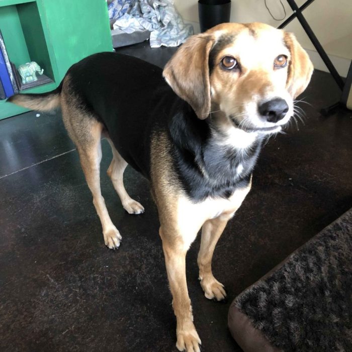 1_64478643653__E10334CA-89ED-4687-83CA-8B570ABC2AC1-3-scaled-1