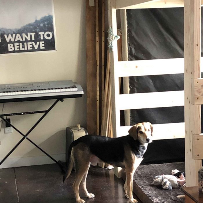 1_64243293389__838E044E-DE32-44E5-AF87-1DDC98212473-scaled-1