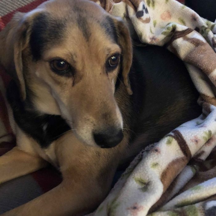 1_63927216736__C500930C-DA4A-46D2-845B-D13580005378-scaled-1