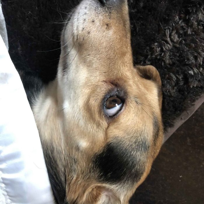 1_63613065399__C8EFAD89-9577-4464-88C7-4E42E1BF437F-1-scaled-1