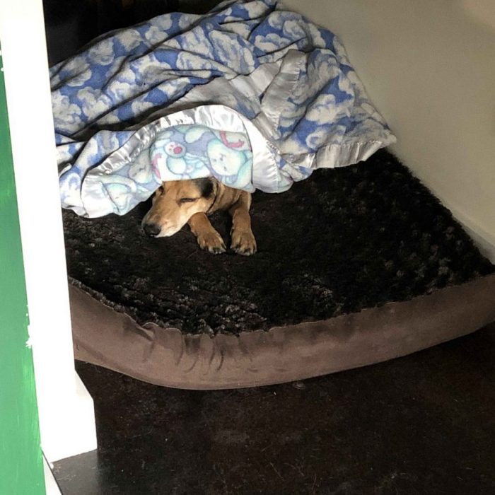 1_63571969634__A3C007AD-13AD-4667-BEDD-FD8C7E03B37D-1-scaled-1