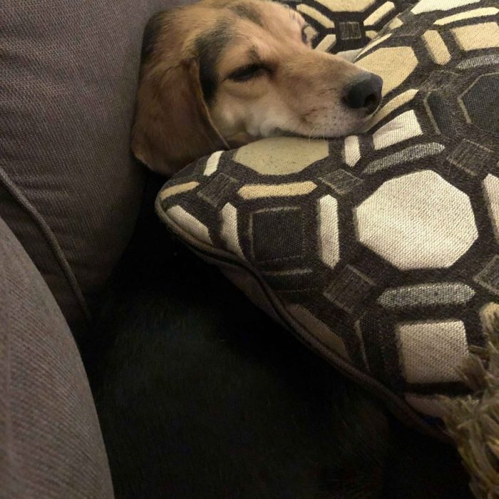 1_63548361835__03DB6840-4EE6-44F3-BD45-8509D0D07559-1-scaled-1