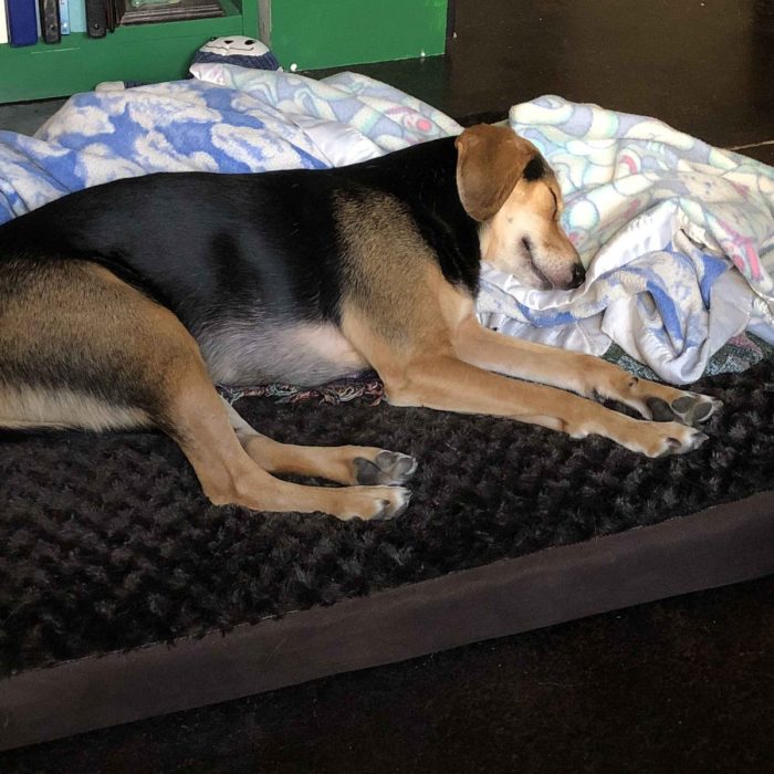 1_63431786770__CE383876-FA9A-46F6-84D9-46F455152EE6-scaled-1