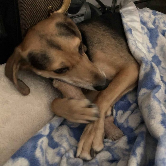 1_62940203790__398EC1AD-BD36-43E0-A9C5-F64392ACF072-2-scaled-1