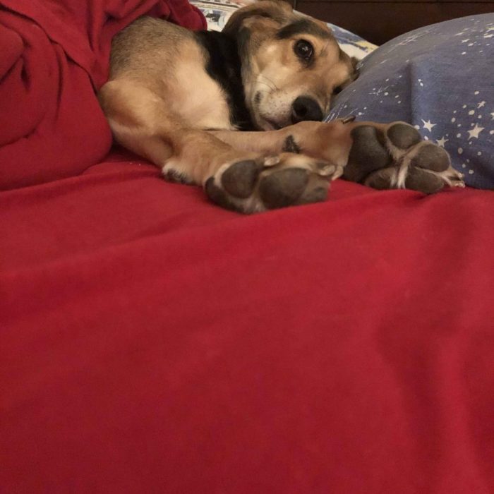 1_62691754740__25BD0D42-2FB8-44D0-8603-A599BF47C580-scaled-1