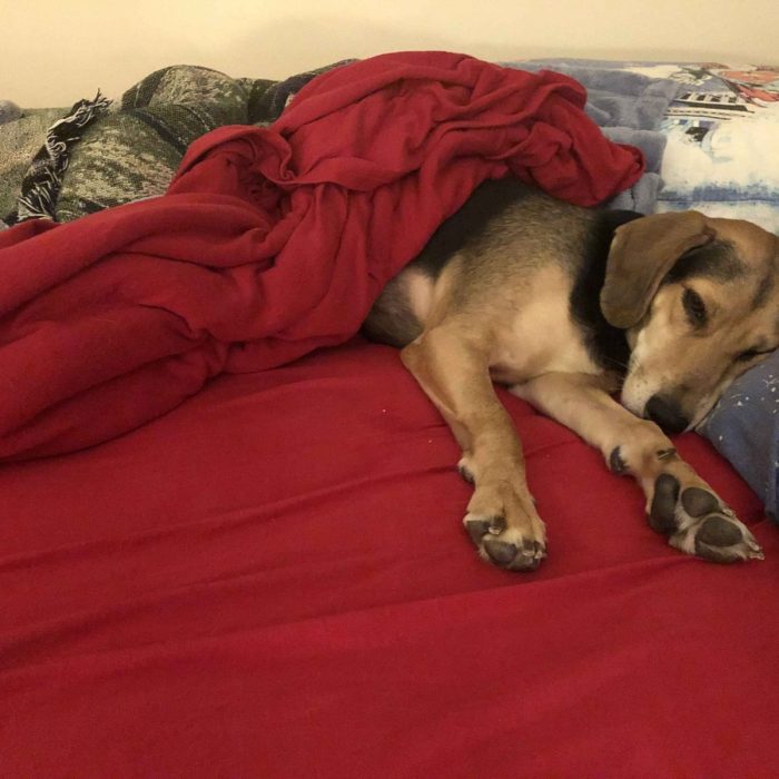 1_62691724973__C0E9867D-9073-4E55-9536-506DEF2D6F11-2-scaled-1