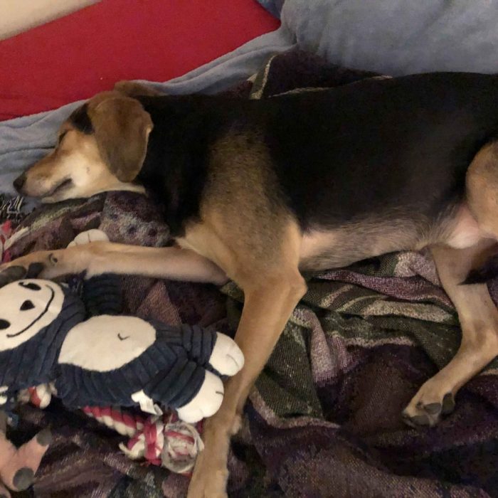 1_62674775103__58CB5D2B-F0D7-42AC-BA22-4795E90E2FA3-1-scaled-1