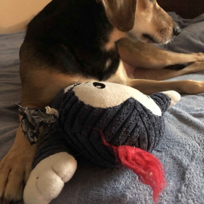 1_62535210269__3FF254B9-637C-442C-BDAA-534C4995FE9D-scaled-1