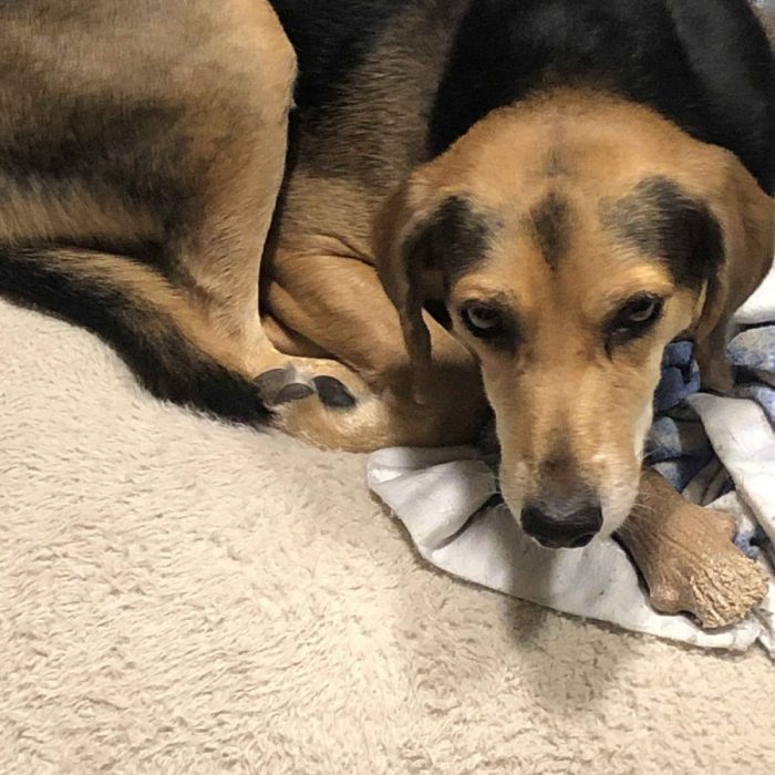 1_62501241140__EC99F766-4DCD-46C2-B90B-07CED315217B-1-scaled-1