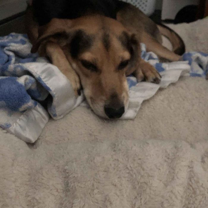 1_62430496065__EAB12690-7EE5-4D9C-A4F8-472430322936-scaled-1