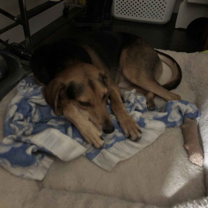 1_62430443372__2C41AE95-3207-4FEB-B07D-EEBDA8455D61-1-scaled-1