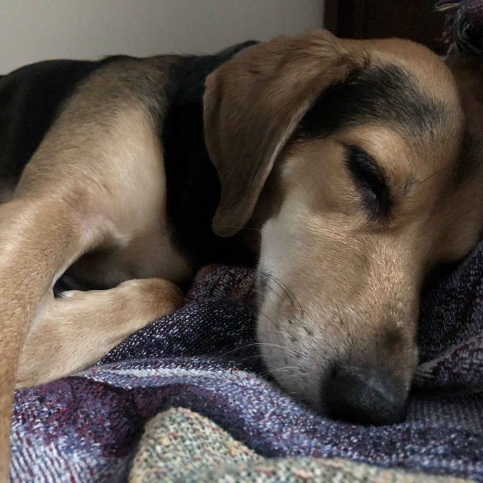 1_62273188775__3A3E65FB-6B89-4AA5-B538-CF41E3C1CA72-1-scaled-1