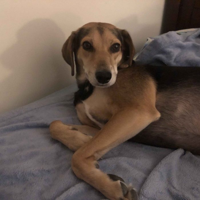 1_62242711006__D45B8545-132A-46DA-A9ED-44936020E1F8-scaled-1