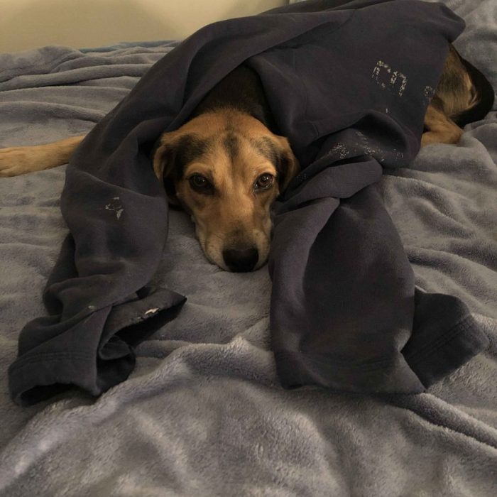 1_62199594310__DE0C63D1-4A2C-4036-835A-3EE7C83ECCCA-scaled-1