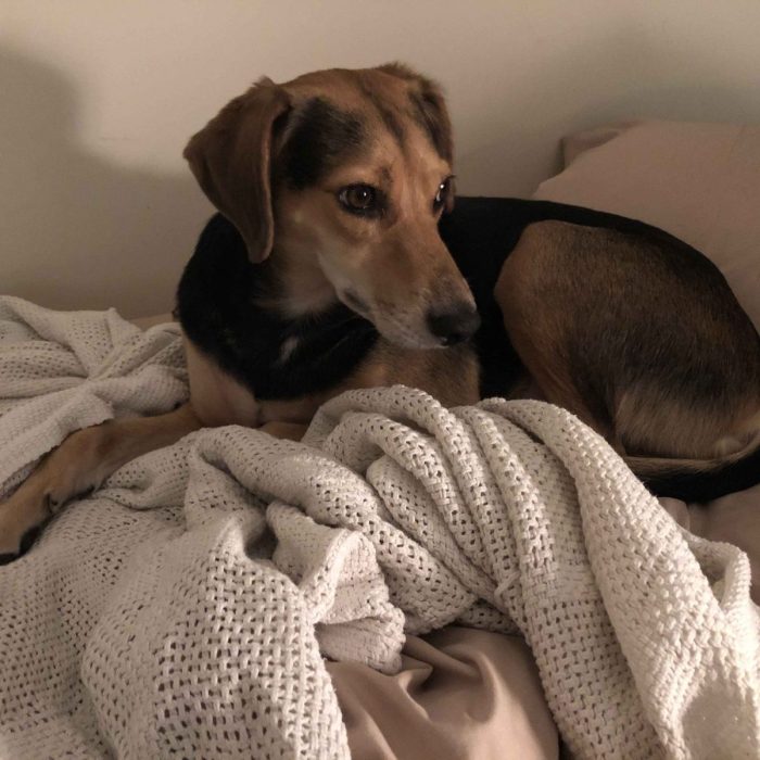 1_62139325905__8744ABAA-0304-4323-8156-12FF023D404C-scaled-1