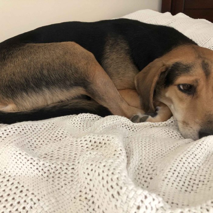 1_62077420117__85452180-4466-4257-AEF4-36791EED4558-scaled-1