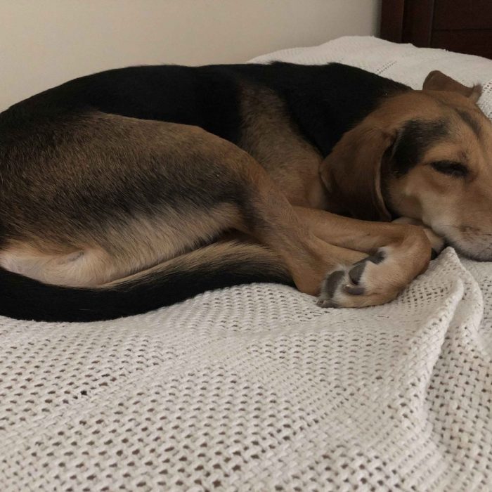 1_62075535395__29D4E3B1-A865-46C7-9F00-A0E2CD286664-scaled-1