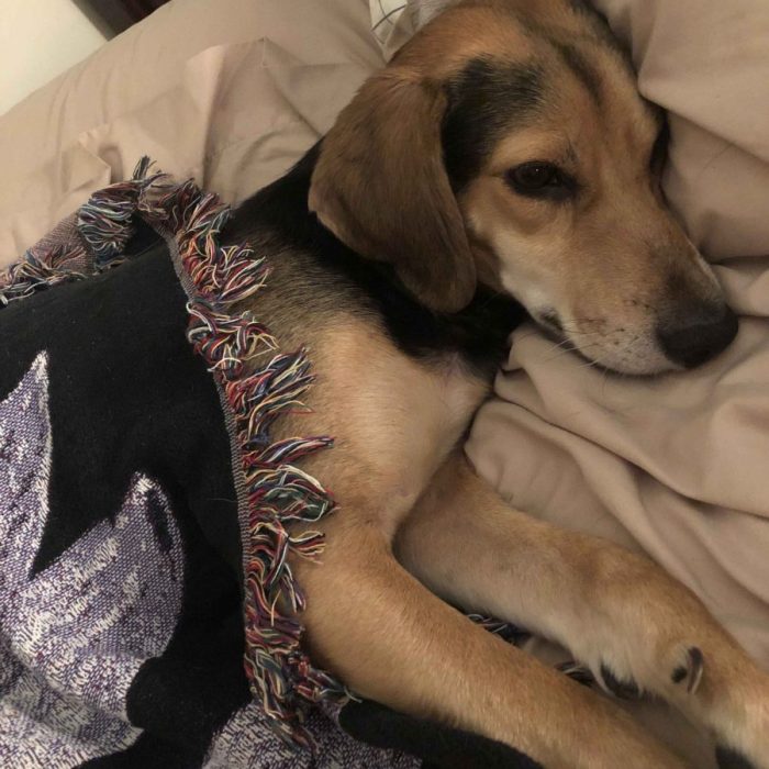 1_62026292547__1A038396-6F76-4F29-BD99-9878FB431E84-1-scaled-1