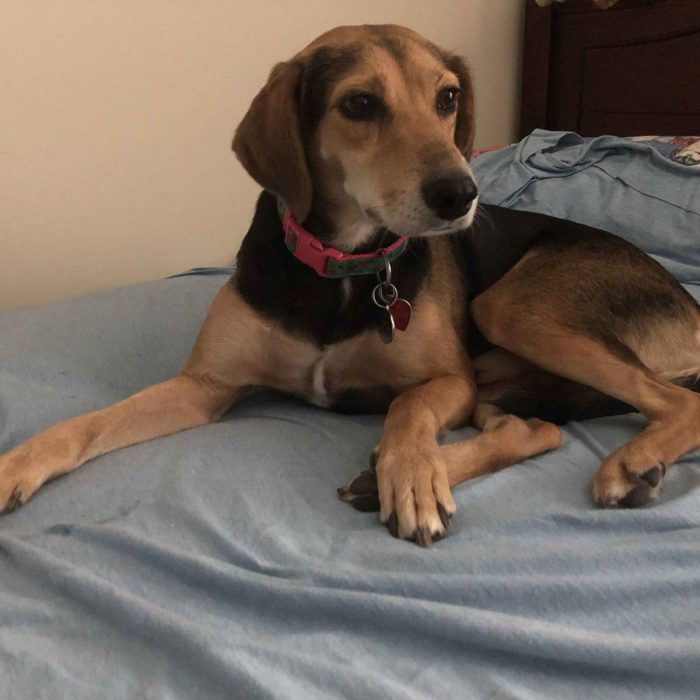 1_61904434295__E53A8399-B571-4DBA-9327-848ADD3E7979-scaled-1