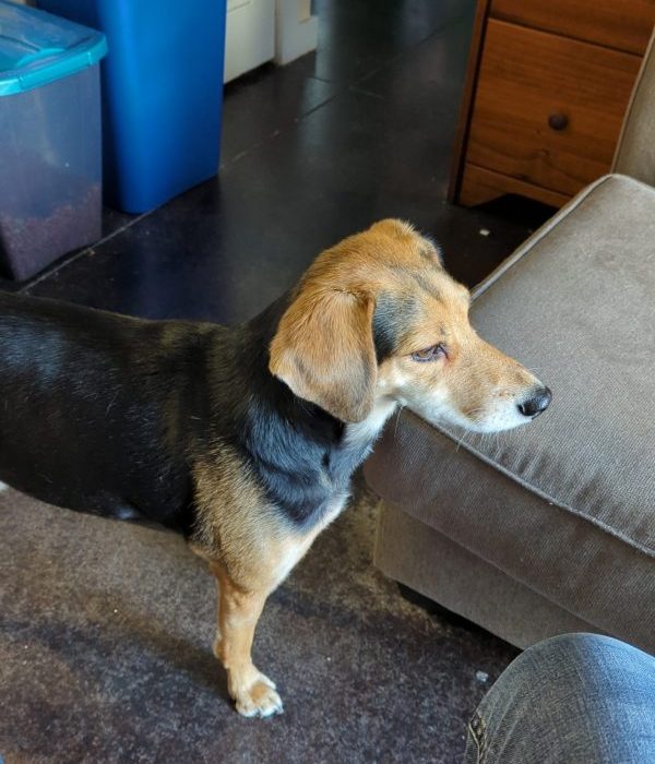 1_Snapchat-675366649-scaled-1