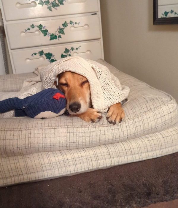 1_Snapchat-60298812-scaled-1