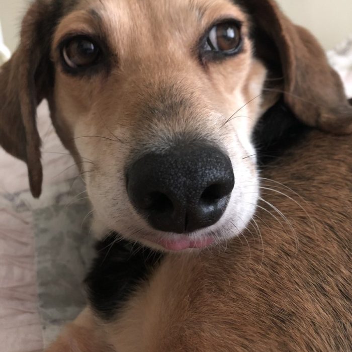 1_signal-2021-06-18-151820