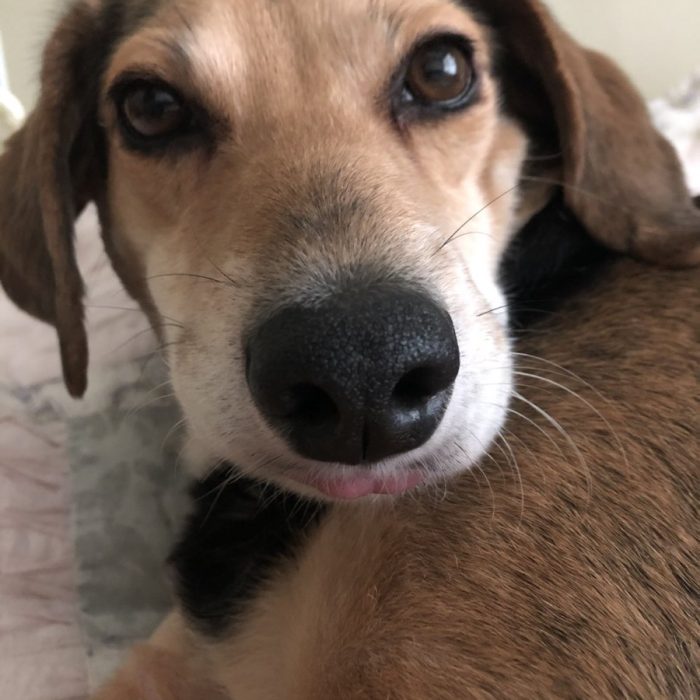 1_signal-2021-06-18-151820-1