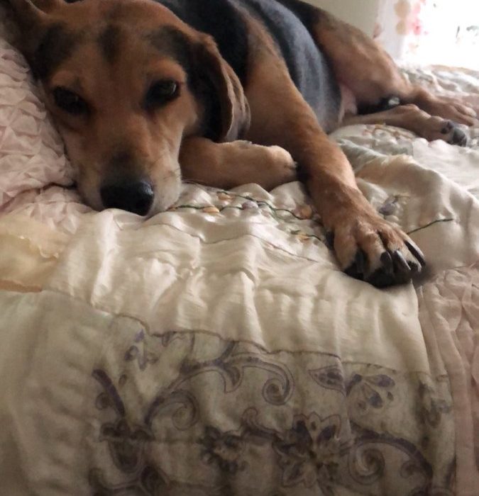 1_signal-2021-06-18-150132