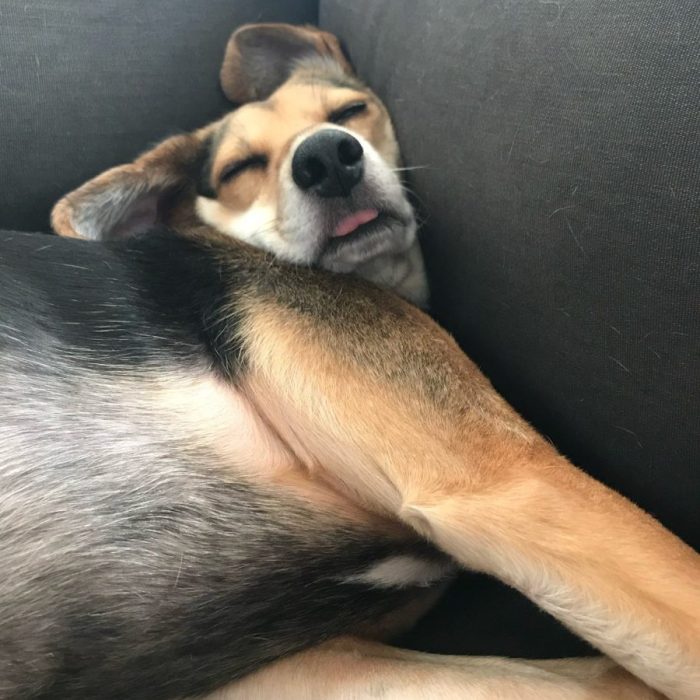 1_signal-2021-03-13-141123-rotated-1