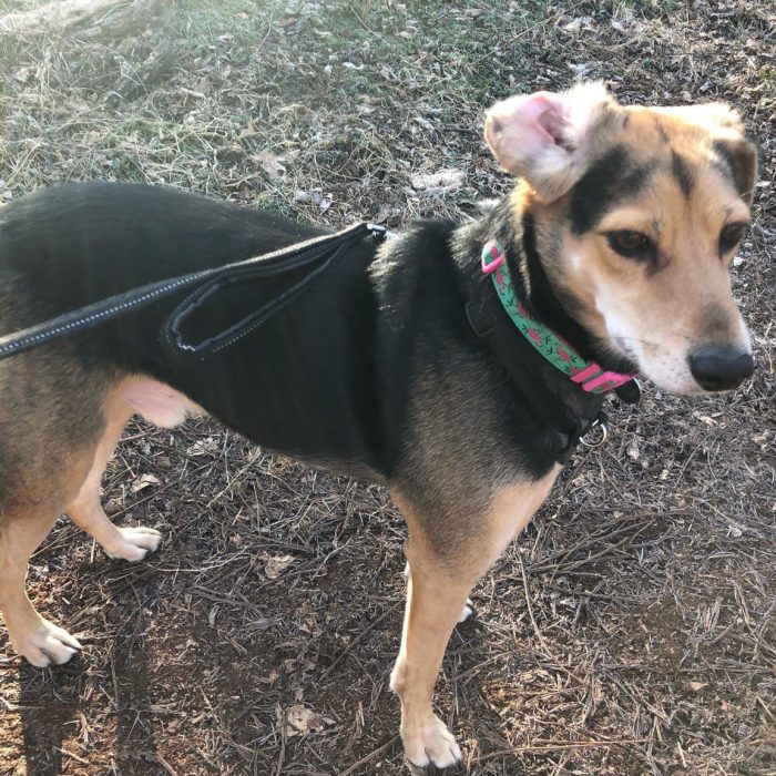 1_signal-2021-03-07-215559-rotated-1