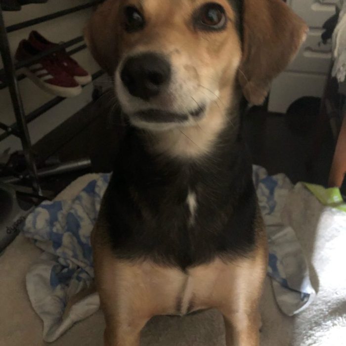 1_signal-2020-12-13-234811-rotated-1