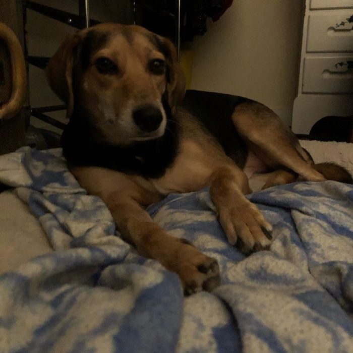 1_signal-2020-11-24-225033-rotated-1