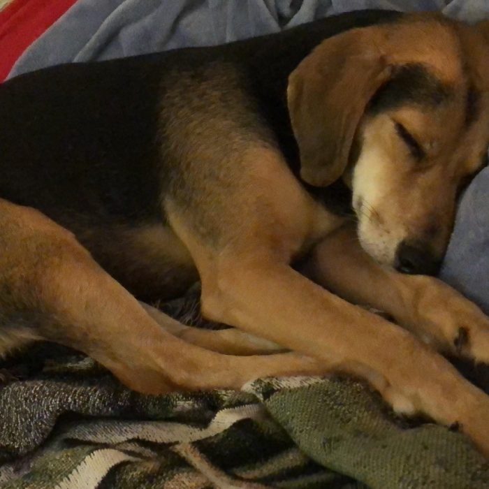 1_signal-2020-11-24-222046