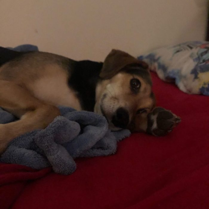 1_signal-2020-11-14-211037-rotated-1