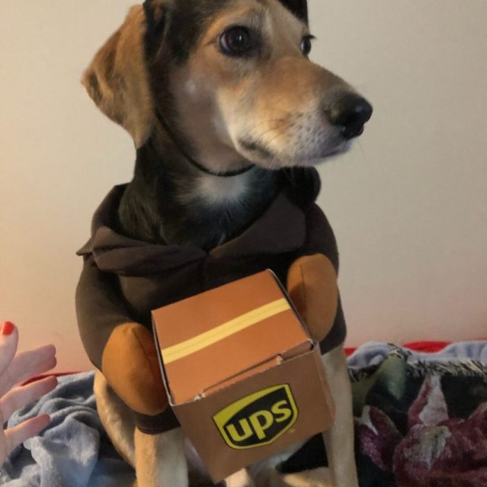 1_signal-2020-10-31-220640-rotated-1