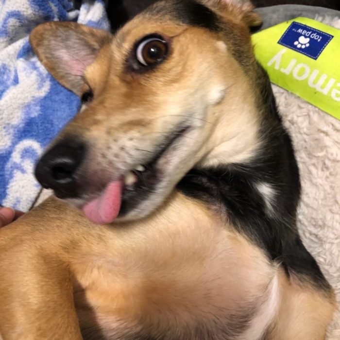 1_signal-2020-10-12-130200-rotated-1