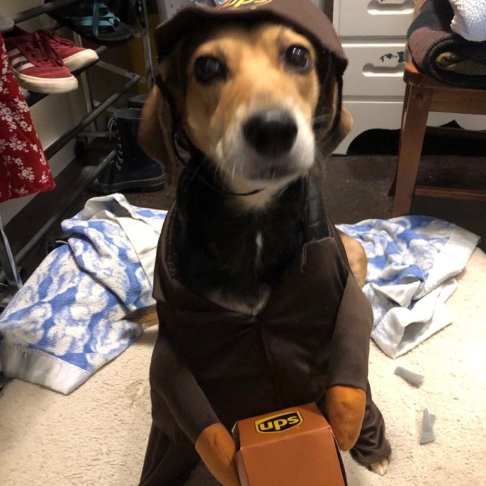 1_signal-2020-10-04-135955-rotated-1