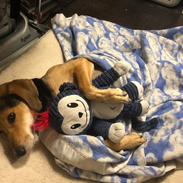 1_signal-2020-09-21-232915