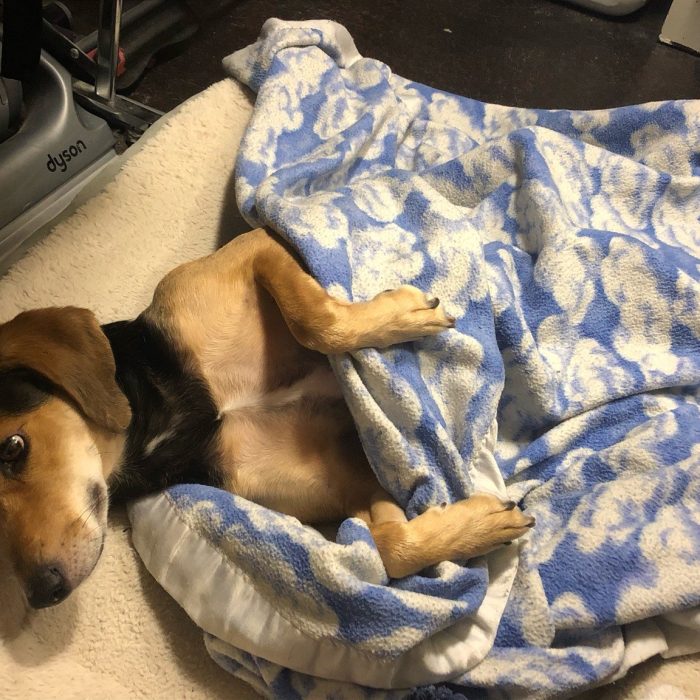 1_signal-2020-09-21-232909