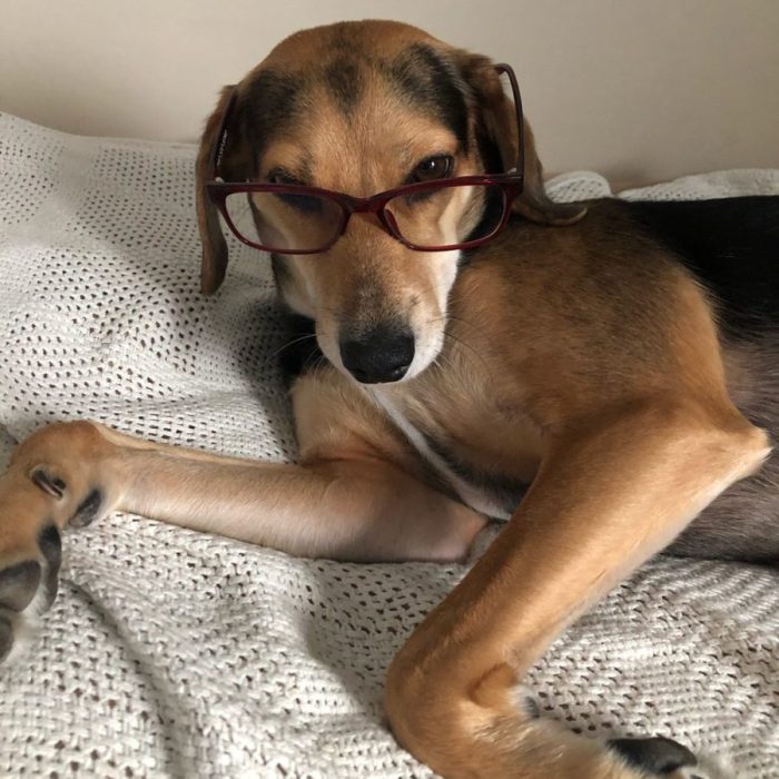 1_signal-2020-09-12-103414-rotated-1