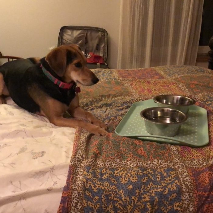 1_signal-2020-05-30-213620-rotated-1