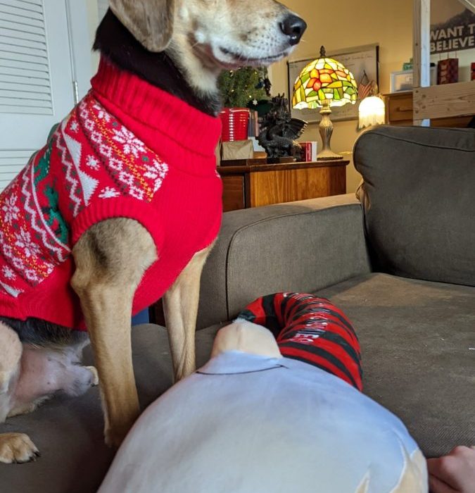 1_PXL_20211212_182248084.MP_-scaled-1