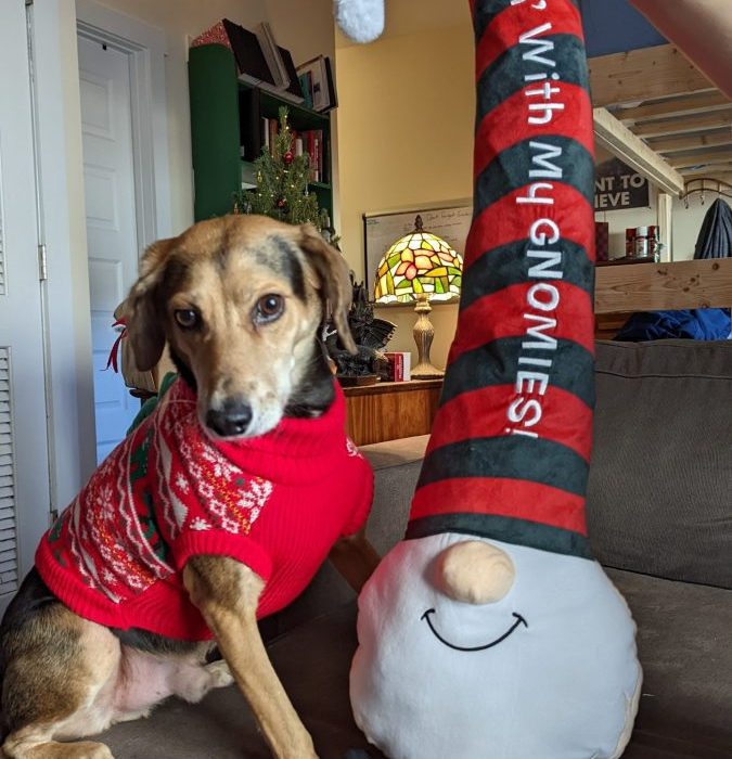 1_PXL_20211212_182215921.MP_-scaled-1