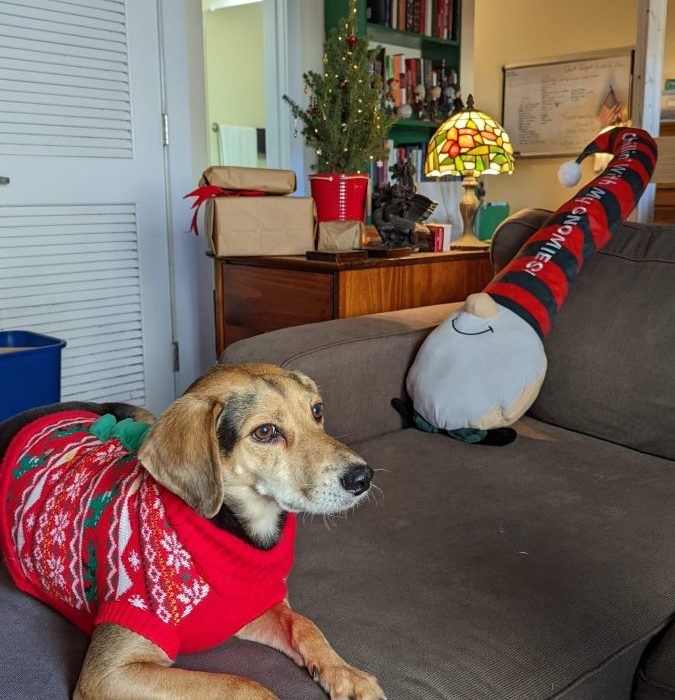 1_PXL_20211212_182053303.MP_-scaled-1