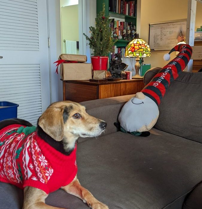 1_PXL_20211212_182049493.MP_-scaled-1