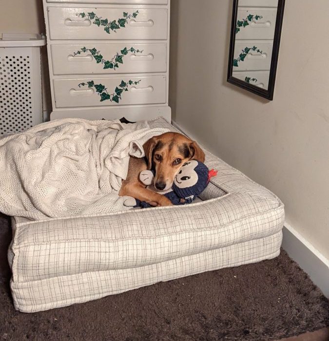 1_PXL_20211104_101140506-scaled-1