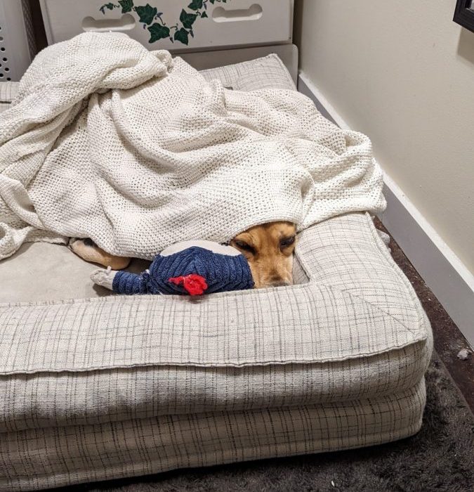 1_PXL_20211103_094306944-scaled-1