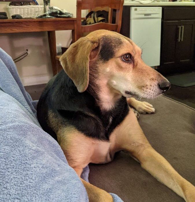 1_PXL_20211025_233903049-scaled-1