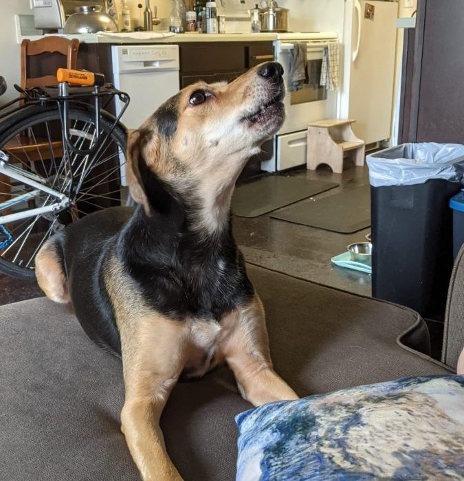 1_PXL_20210815_152146006-scaled-1